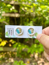 Bookshelf Studs