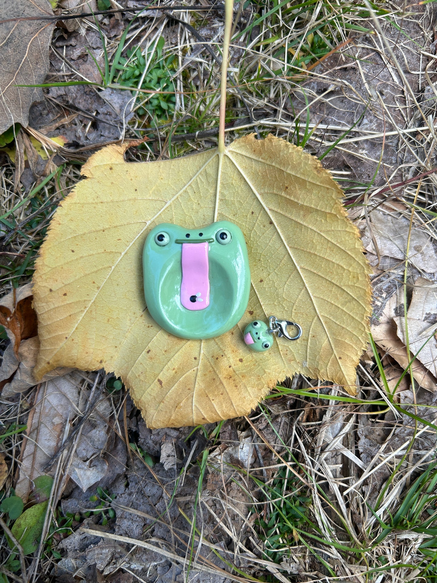 Silly Frog Worrystone and Keychain
