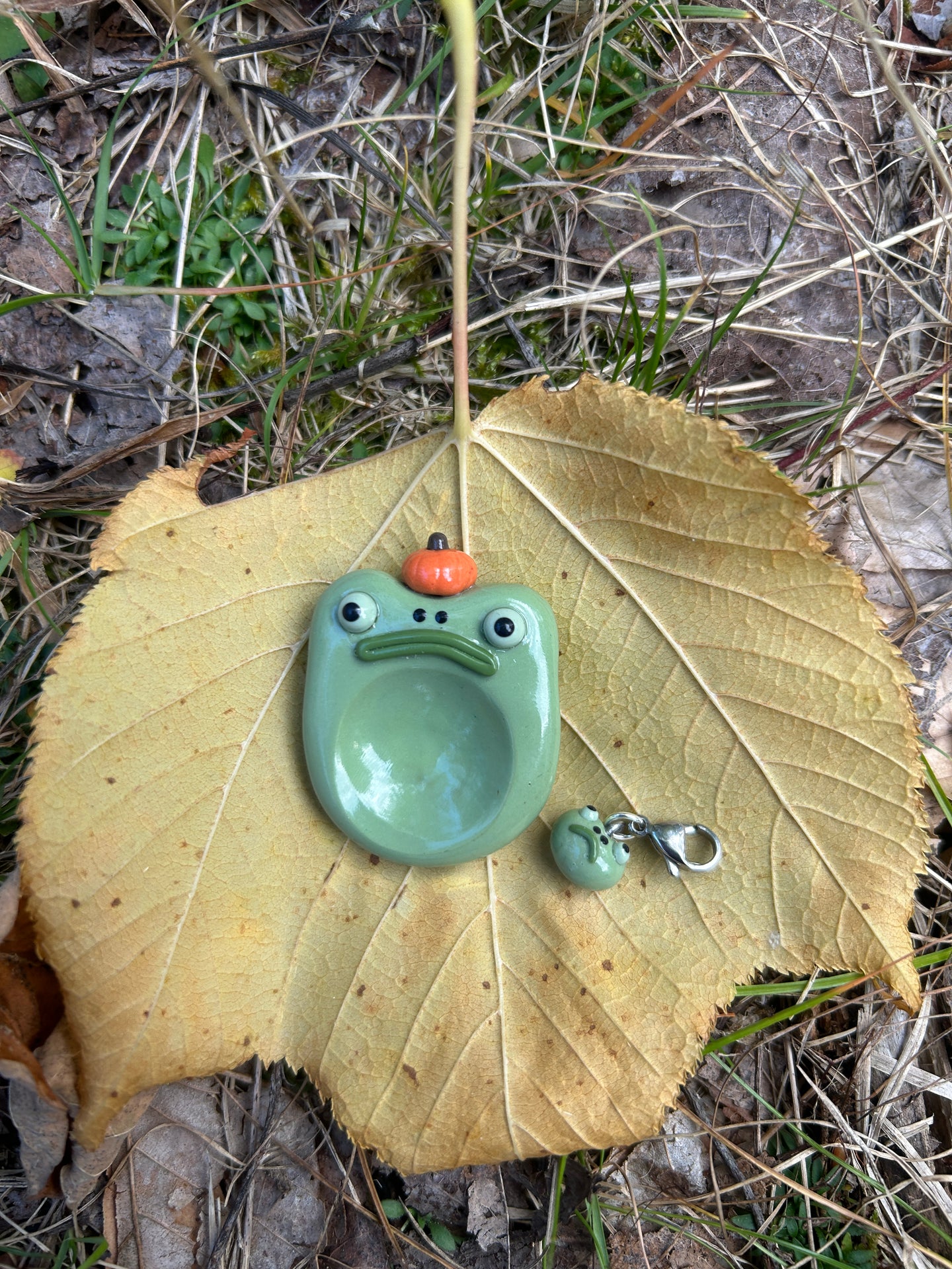 Pumpkin Frog Worry stone and Keychain
