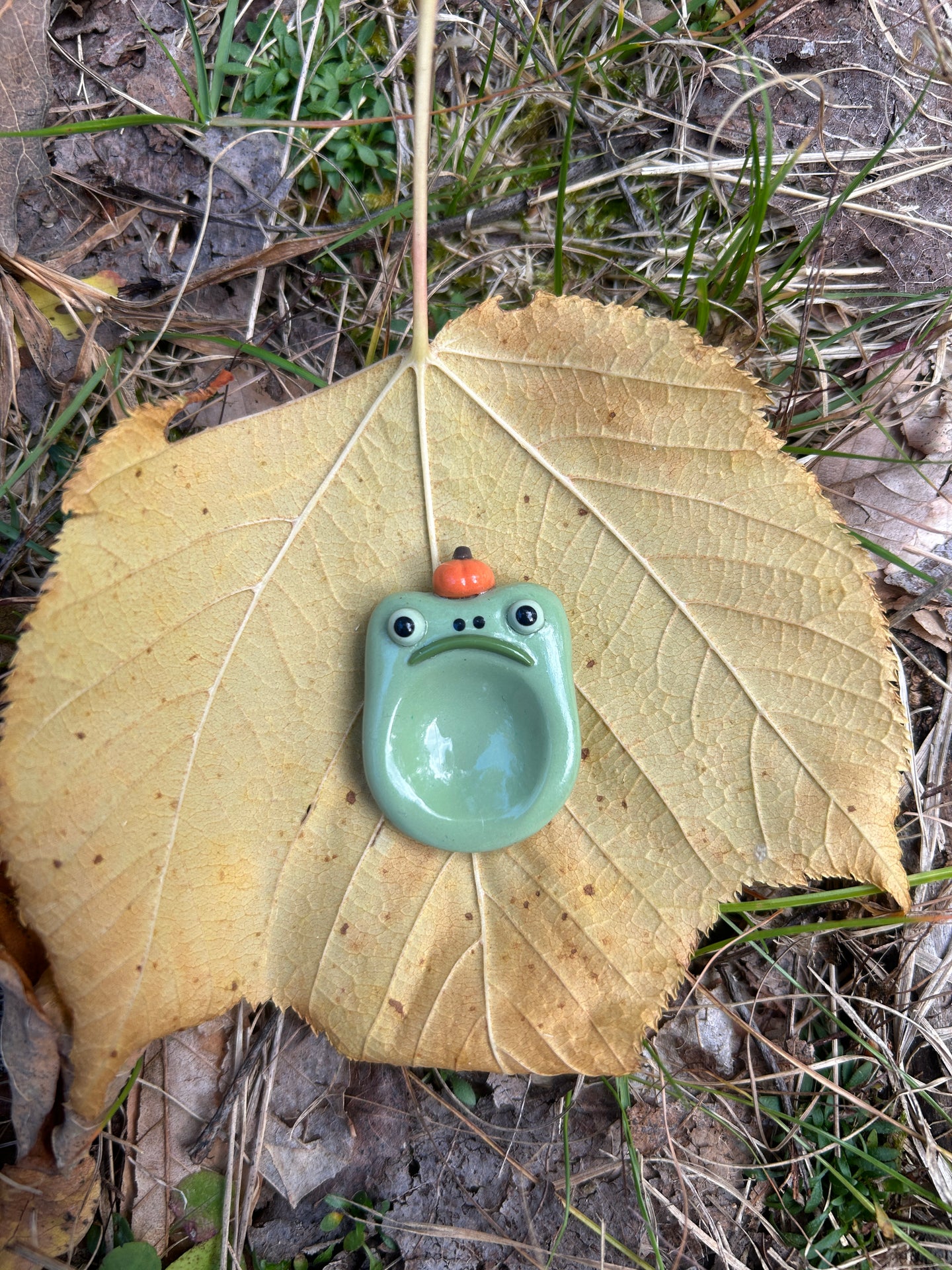 Pumpkin Frog Worry Stone Pebble